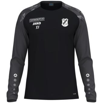 Longsleeve 